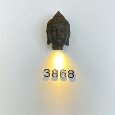 Illuminated Stainless Steel 304 Metal Address Signs Screw Mount