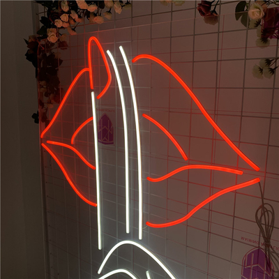 Flexible Acrylic Neon Light Interior Exterior Decoration CE ROHS